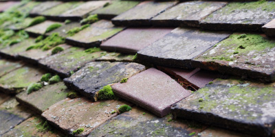 Little Wilbraham roof repair costs
